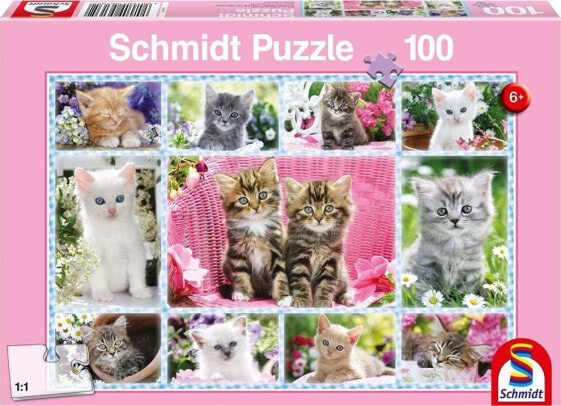 Schmidt Spiele Puzzle Kocięta