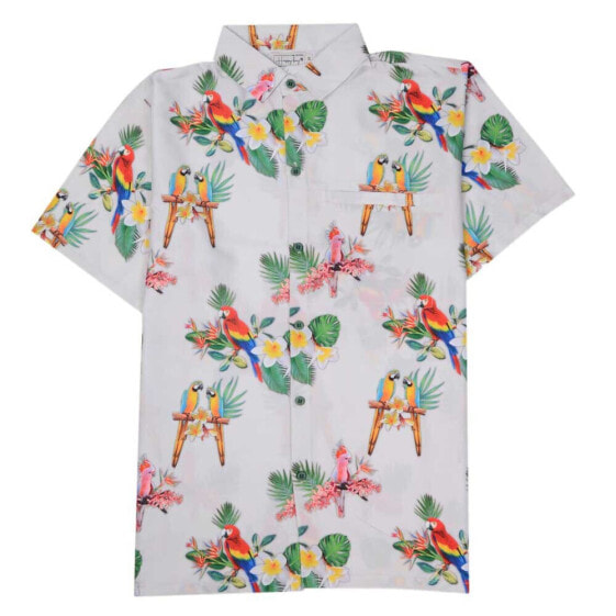 HAPPY BAY Parrots in a line hawaiian shirt