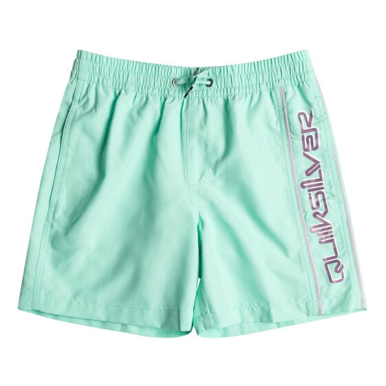 QUIKSILVER Everyday Vert Volley 14´´ swimming shorts