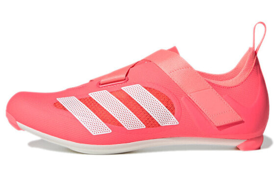 Adidas The Indoor Cycling GZ6343 Sneakers