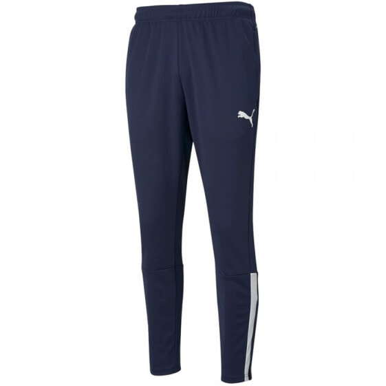 Puma teamLiga Training Pants M 657242 06