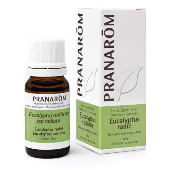 Природное масло Pranarôm Эвкалипт 10 ml