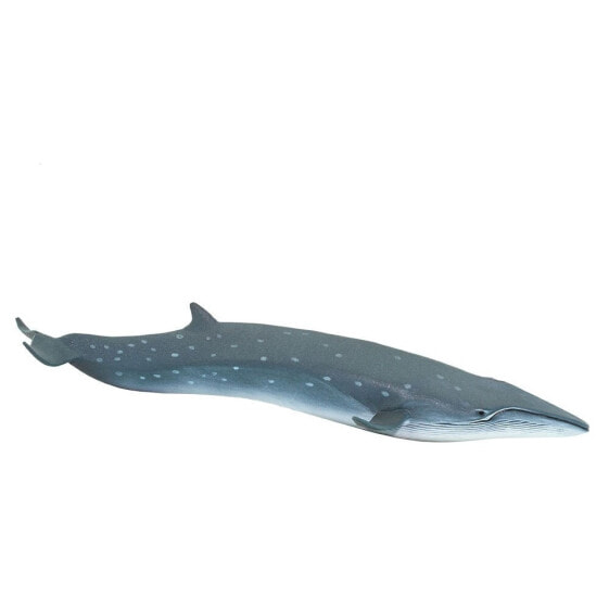 SAFARI LTD Sei Whale Figure
