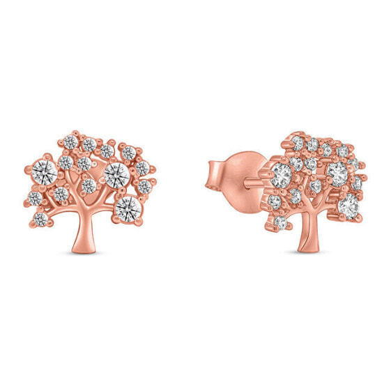 Popular bronze earrings Tree of Life EA348R