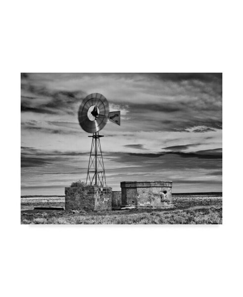David Drost Black and White Desert View VI Canvas Art - 37" x 49"