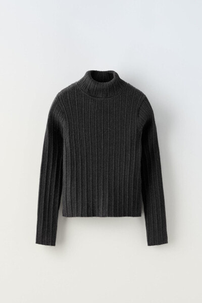 Ribbed turtleneck sweater