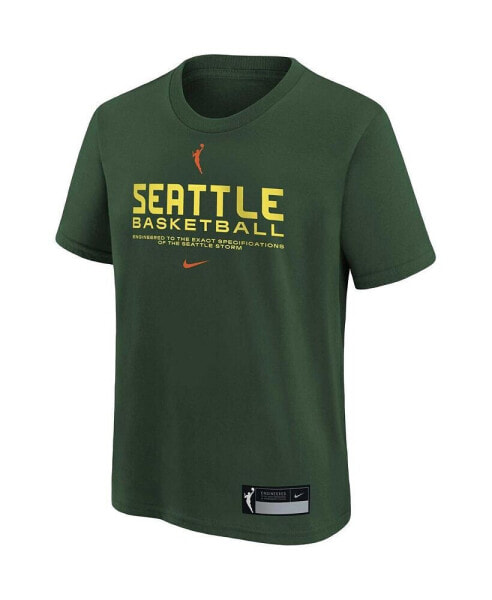 Футболка для малышей Nike Зеленая Seattle Storm On Court Legend Essential Practice