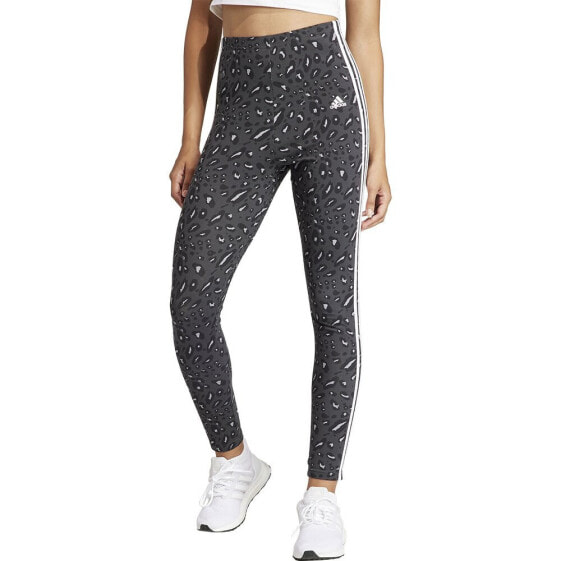 ADIDAS Anml 3 Stripes Leggings