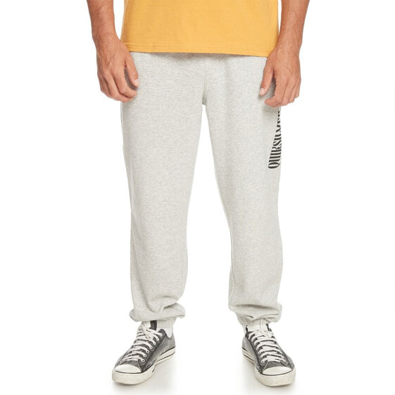 QUIKSILVER Graphic Pant sweat pants