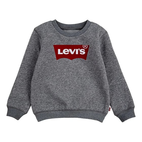 LEVI´S ® KIDS Batwing sweatshirt