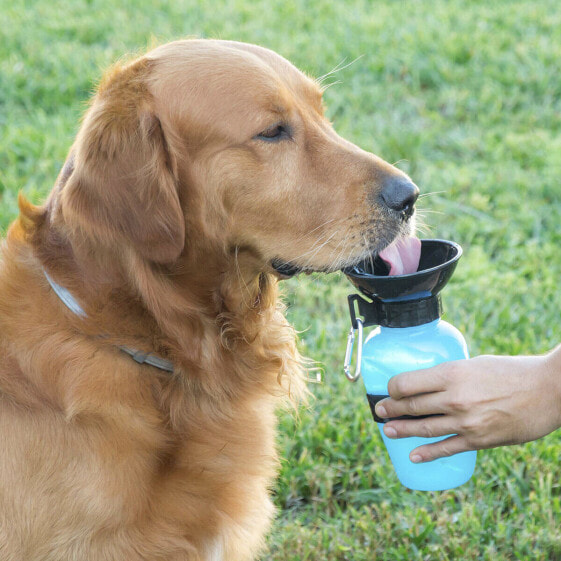 Бутылка-Поилка для Собак InnovaGoods