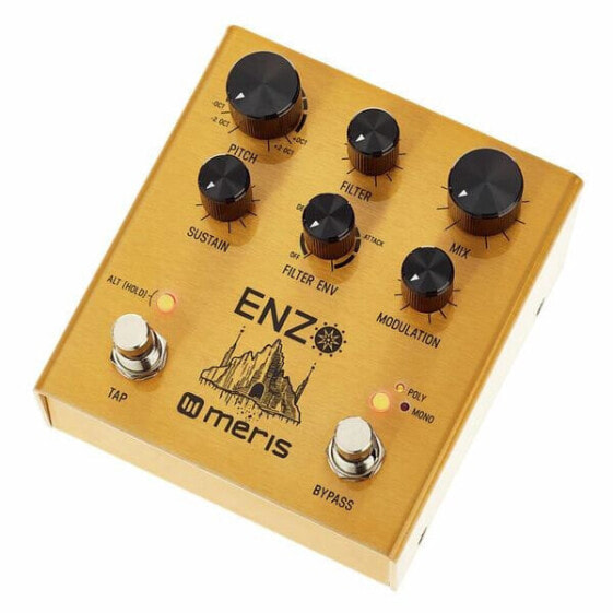 Meris Enzo Multi-Voice Synthesizer