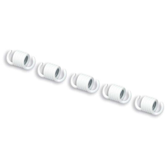 MALOSSI blancos Maxi Fly Clutch Spring Kit