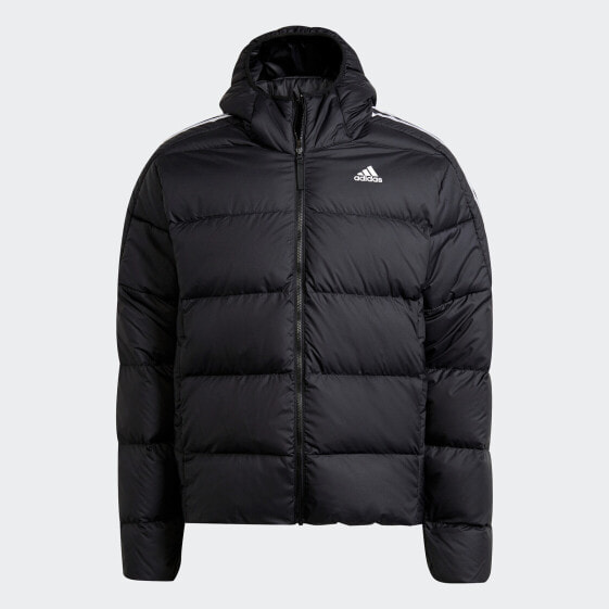 adidas men Essentials Midweight Down Hooded Jacket