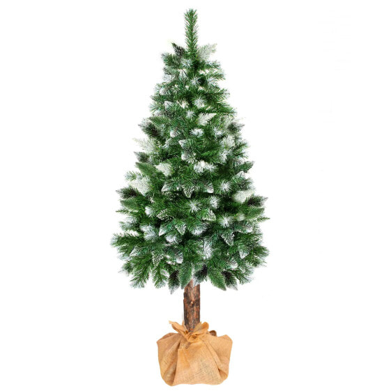 Christbaum Diamantkiefer mit Naturstamm