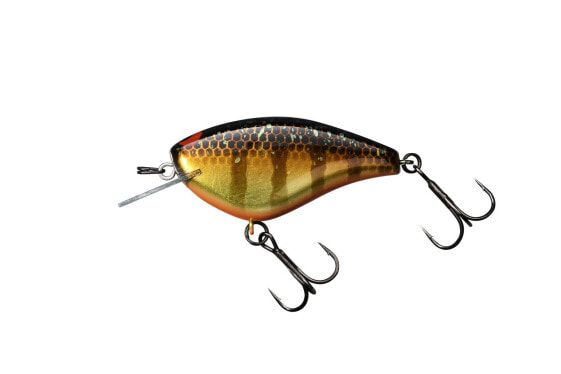 Jackall BLING 55 Crankbaits (JBLG55-GOG) Fishing