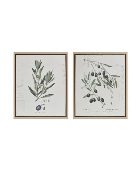 2 Piece Kalamata Branches Framed Canvas Printed Graphic Wall Art, 21.8" x 17.8"