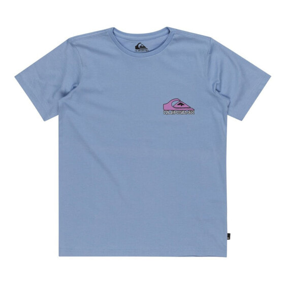 QUIKSILVER Take Us Back short sleeve T-shirt