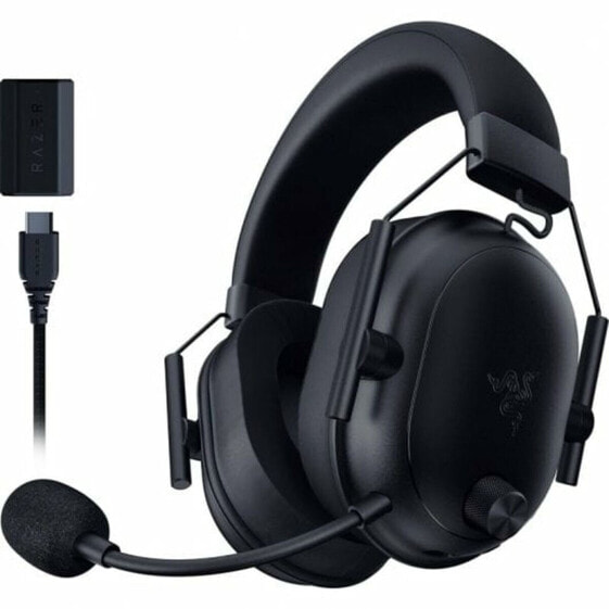 Headphones with Microphone Razer RZ04-04960100-R3M1 Black