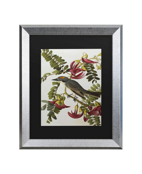 Картина в раме Trademark Global John James Audubon Серый тиран и серый цветочный птица - 20" x 25"