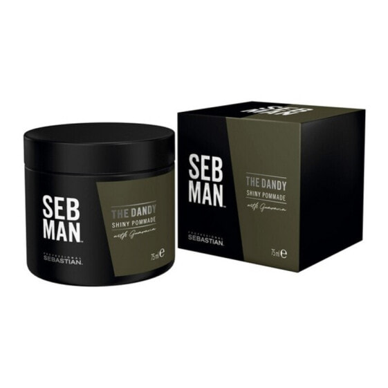Sebastian Seb Man The Dandy Shinny Pomade Моделирующий помада для волос придающая блеск  75 мл