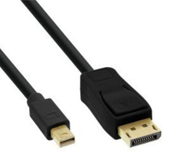 InLine Mini DisplayPort to DisplayPort Cable black 0.5m