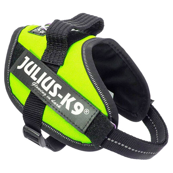 JULIUS K-9 IDC Mini Harness