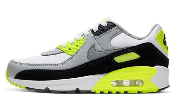 Кроссовки Nike Air Max 90 LTR GS CD6864-101