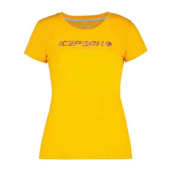 ICEPEAK Brookings short sleeve T-shirt