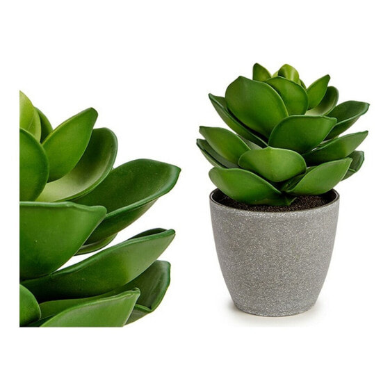 Декоративное растение Серый 16 x 21 x 16 cm Зеленый Пластик