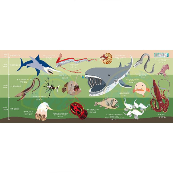 OCEANARIUM Deep Sea Creatures M Towel