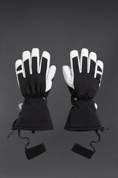 Ski collection gloves