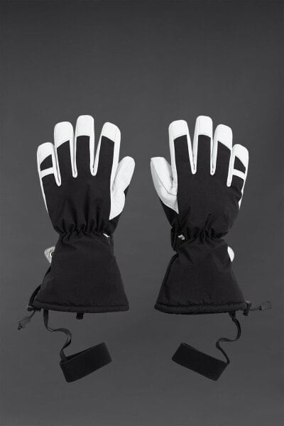 Ski collection gloves