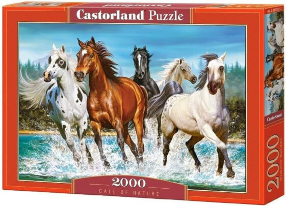 Castorland Puzzle 2000 Call of Nature
