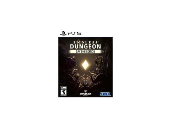 Endless Dungeon - Playstation 5