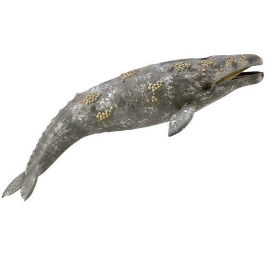 COLLECTA Gray Whale XL Figure