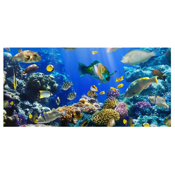 Доска декоративная Bilderwelten Underwater Reef
