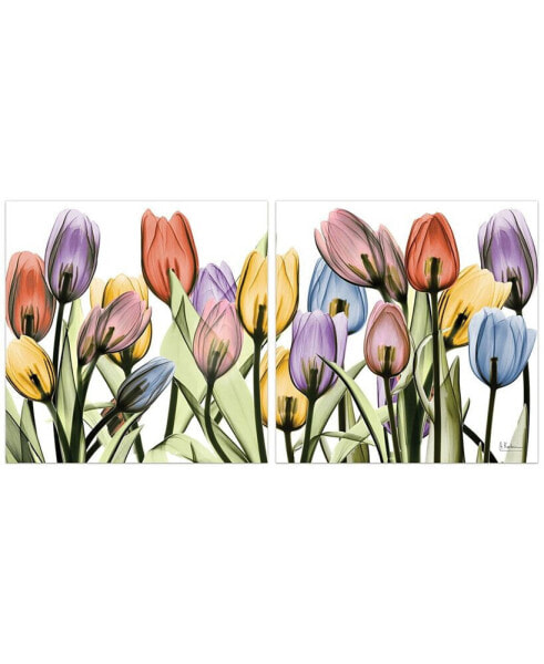 TuLIp Scape X-Ray I Ii Frameless Free Floating Tempered Glass Panel Graphic Wall Art, 24" x 24" x 0.2" Each