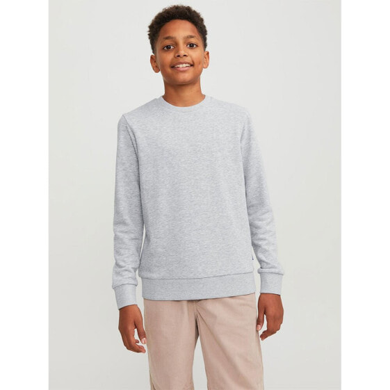 JACK & JONES Bradley sweatshirt