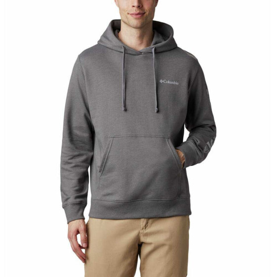 COLUMBIA Viewmont II Graphic hoodie