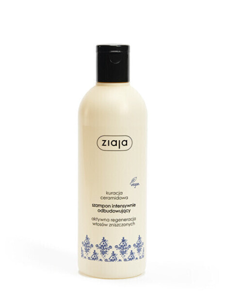 Šampon pro intenzivní obnovu vlasů (Intensive Shampoo) 300 ml