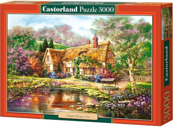 Castorland 3000 EL. Copy of Twilight (300365)