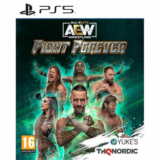 Видеоигры PlayStation 5 THQ Nordic AEW All Elite Wrestling Fight Forever