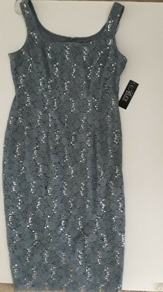 Alex Evening Women's Petite Sleeveless Sheath Lace Dress Steel Blue 12P