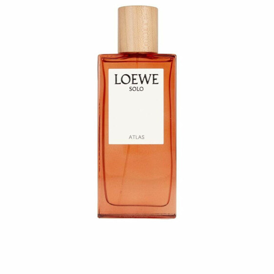 Мужская парфюмерия Loewe Solo Atlas EDP EDP 100 ml (100 ml)