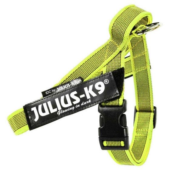 Ошейник для собак JULIUS K-9 IDC Mini Norwegian Harness