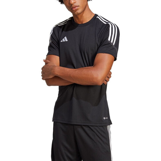 ADIDAS Tiro23 Cb short sleeve T-shirt