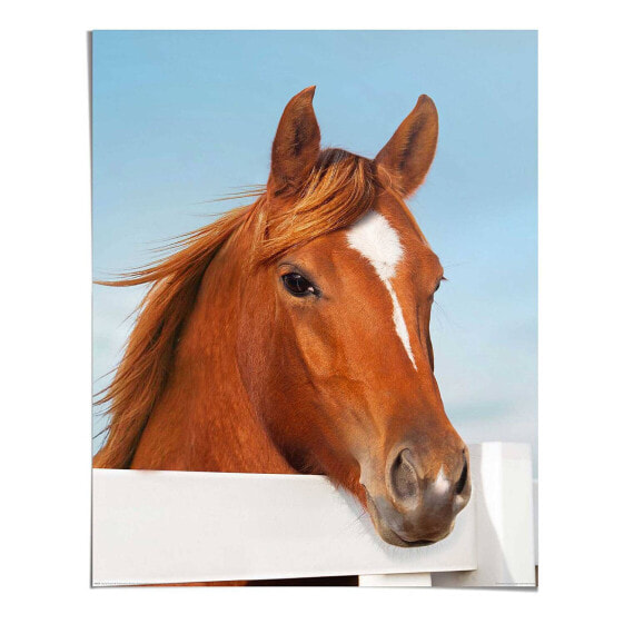 Poster Horse Portrait