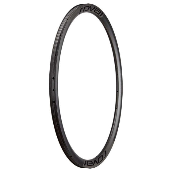 SPECIALIZED My20 Alpinist CLX Carbon Disc 21 mm Internal Rear Rim