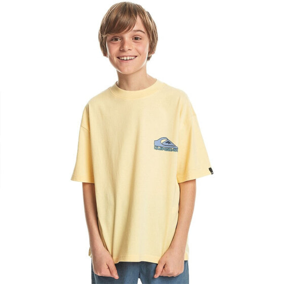 QUIKSILVER Take Us Back short sleeve T-shirt